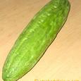 Bitter Gourd