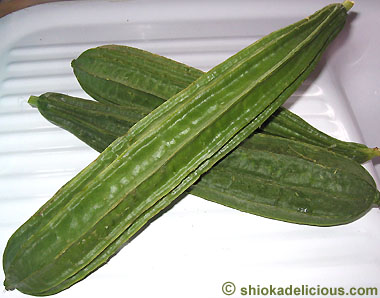 Asian Gourd: Shi Gua / Ketola