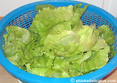 Chinese Lettuce or "Shen Cai"