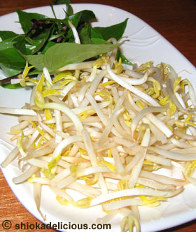 beansprouts_and_mint_leaves.jpg