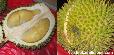 durian4e.jpg
