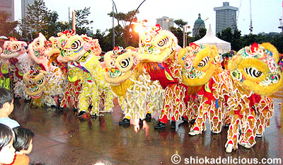 lion_dance_9.jpg
